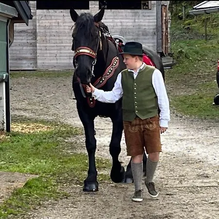 Kesselmannhof In Faistenau *