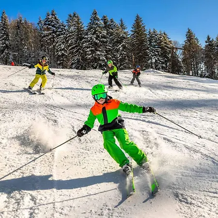 Apartmán Kesselmannhof In Faistenau Wald (Salzburg)
