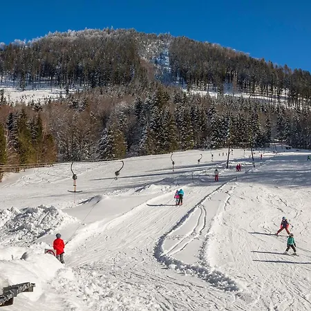 Kesselmannhof In Faistenau * Wald (Salzburg)