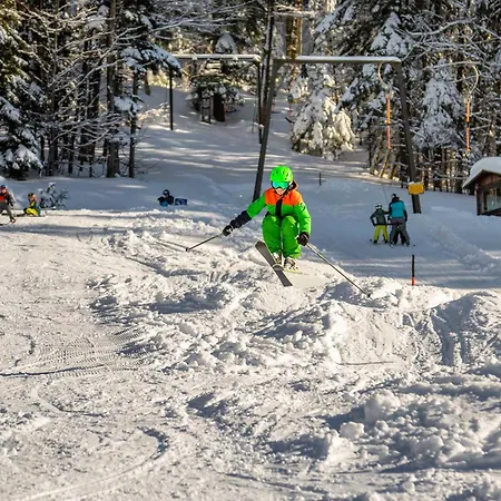 Kesselmannhof In Faistenau *