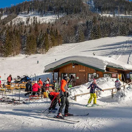 Kesselmannhof In Faistenau Wald (Salzburg)