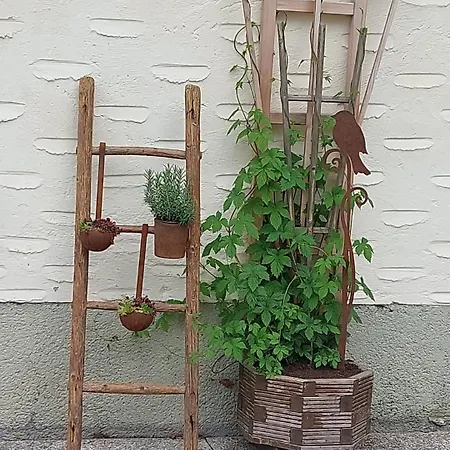 Kesselmannhof In Faistenau