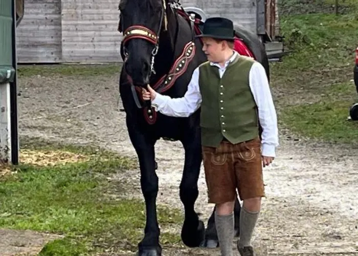 Kesselmannhof In Faistenau *