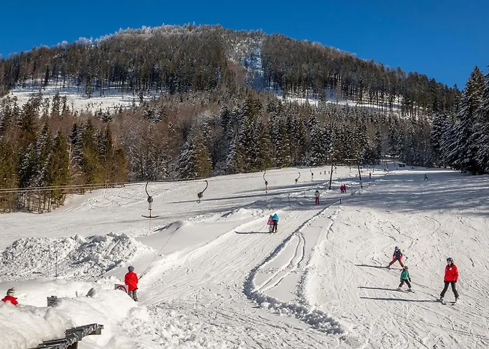 Kesselmannhof In Faistenau * Wald (Salzburg)